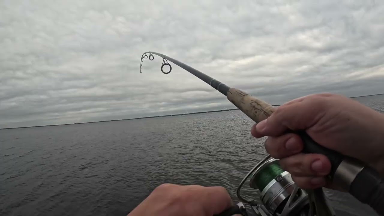 Bass Fishing on Lake Tohopekaliga in Orlando FL!
