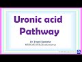 24 uronic acid pathway  carbohydrate metabolism  biochemistry  njoy biochemistry