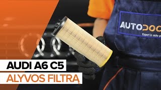 Kaip pakeisti Alyvos filtras AUDI A6 Avant (4B5, C5) - vaizdo vadovas