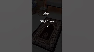 #احمد_العجمي #راحة_نفسية #تلاوة_خاشعة #آيات_من_القرآن #دويتو #الرقية_الشرعية #لايك #القرآن_يشفي