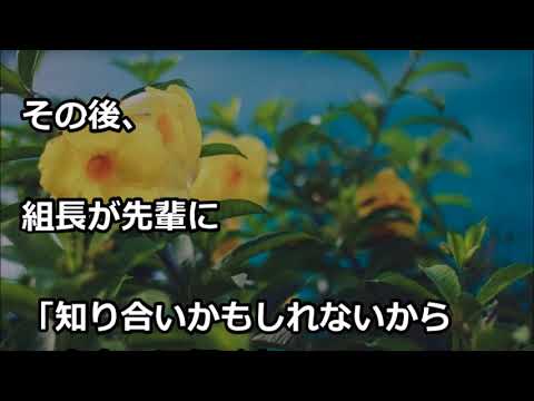 【スカッとする話 復讐】会社の先輩が横柄で嫌われている。かなり面倒なことになったので俺は・・・→結果・・・
