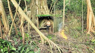 Unfortunate Girl Takes Shelter Under a Giant Tree_Lý Thị Mẩy Kun