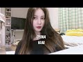 [ENG/JP] 일본 일상 Vlog | 노을지는 오사카 하늘 | 퇴근 후 맥주 | 오사카 직장인 | 왕치와와와의 평화로운 오사카 일상 | 日本に住んでる韓国人会社員の日常