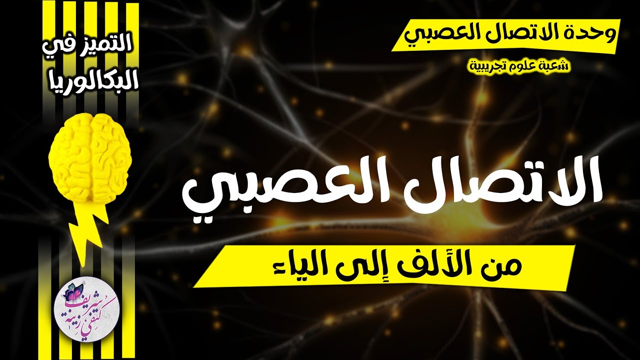 🥇الاتصال العصبي كل ما تحتاجه 💫من الألف إلى الياء 🔥بكالوريا √ شعبة علوم تجريبية