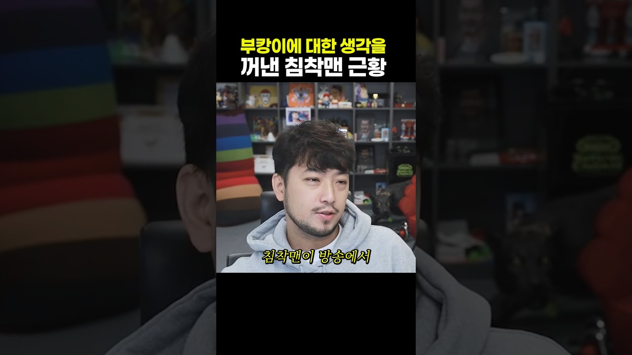 부캉이에 대한 생각을 꺼낸 침착맨 근황