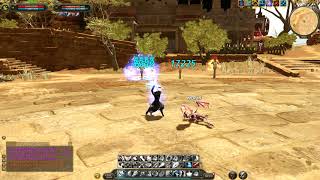 CABAL2  : Set Skill Force Archer
