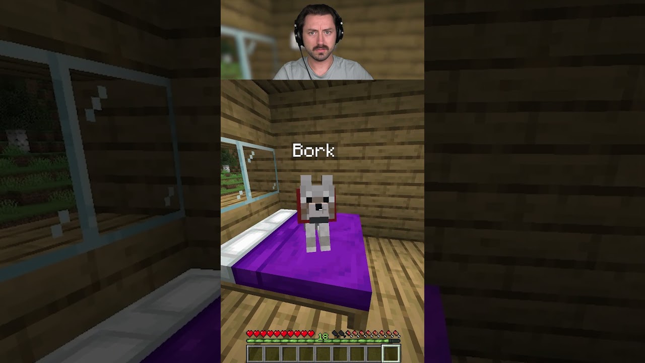 Not my dog...
