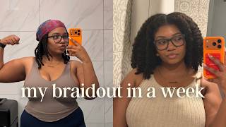 a week in my natural hair with braidout
