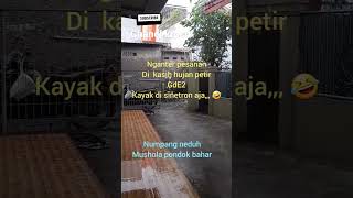 langitpun berduka cipt #Rhomairama