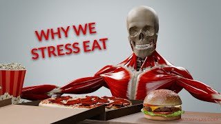 Why You Eat When You're Stressed