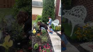Front yard garden in progress
