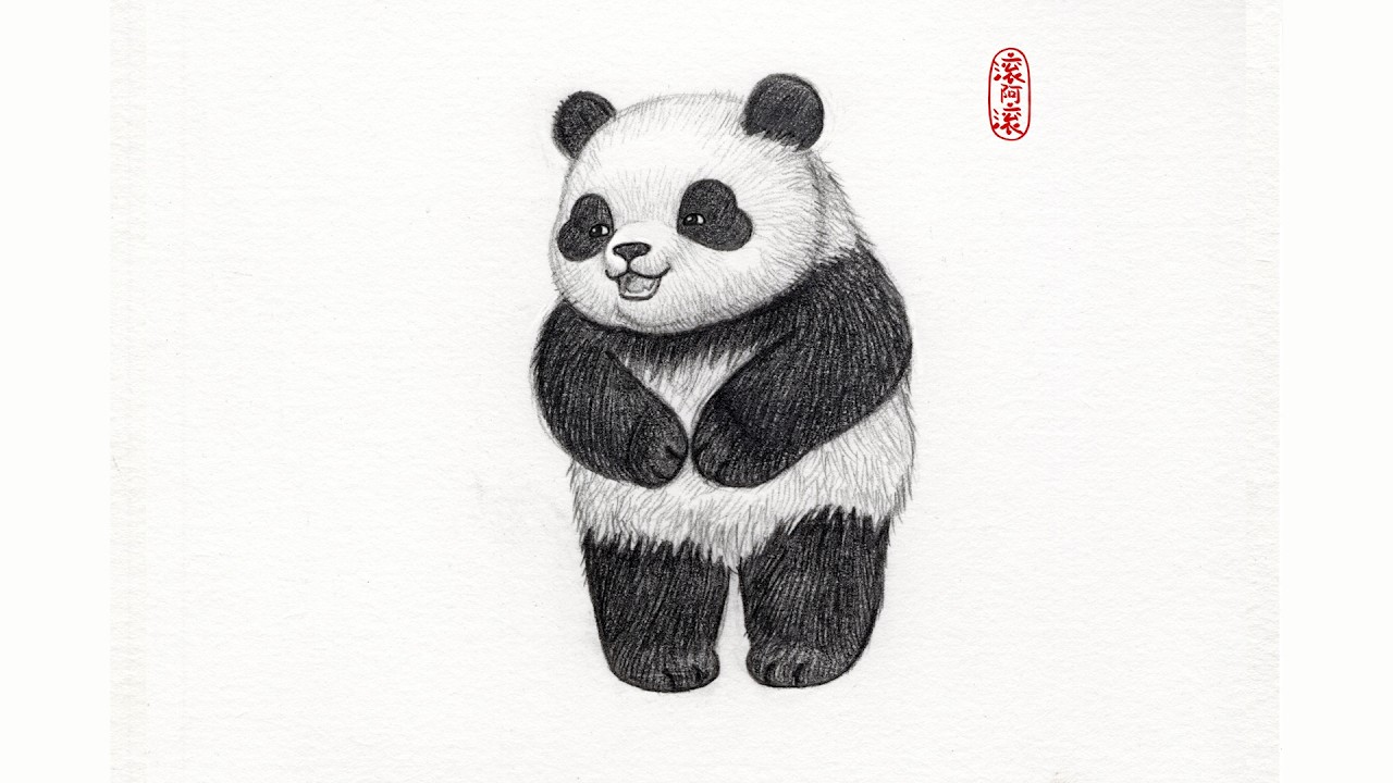Draw panda Day 141｜pencil sketch