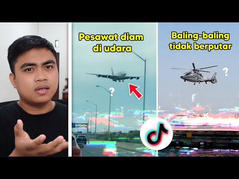 Video: Apa itu bug beroda?