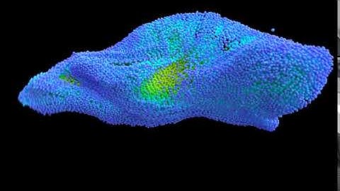 Blob - Houdini vellum R&D