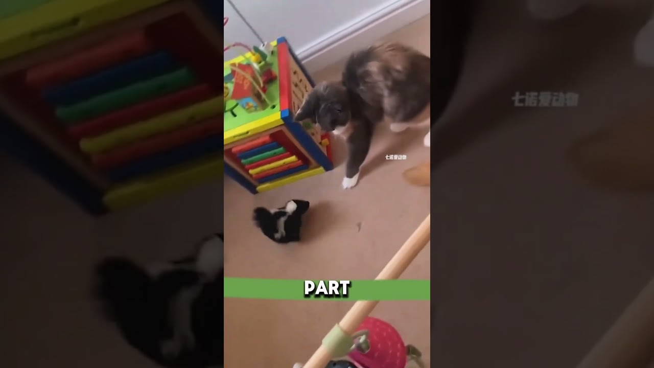 После сильного дождя она спасла загадочного детеныша животного | Трогательная история спасения