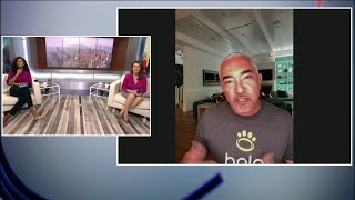 Dog psychology expert Cesar Millan shows off Halo, a gamechanger for New York dog owners