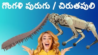 Robot caterpillar deliver drugs inside human body || Backflipping MIT mini Cheetah