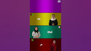 بله دری پشتو فرانسوی و زبان اشاره France 