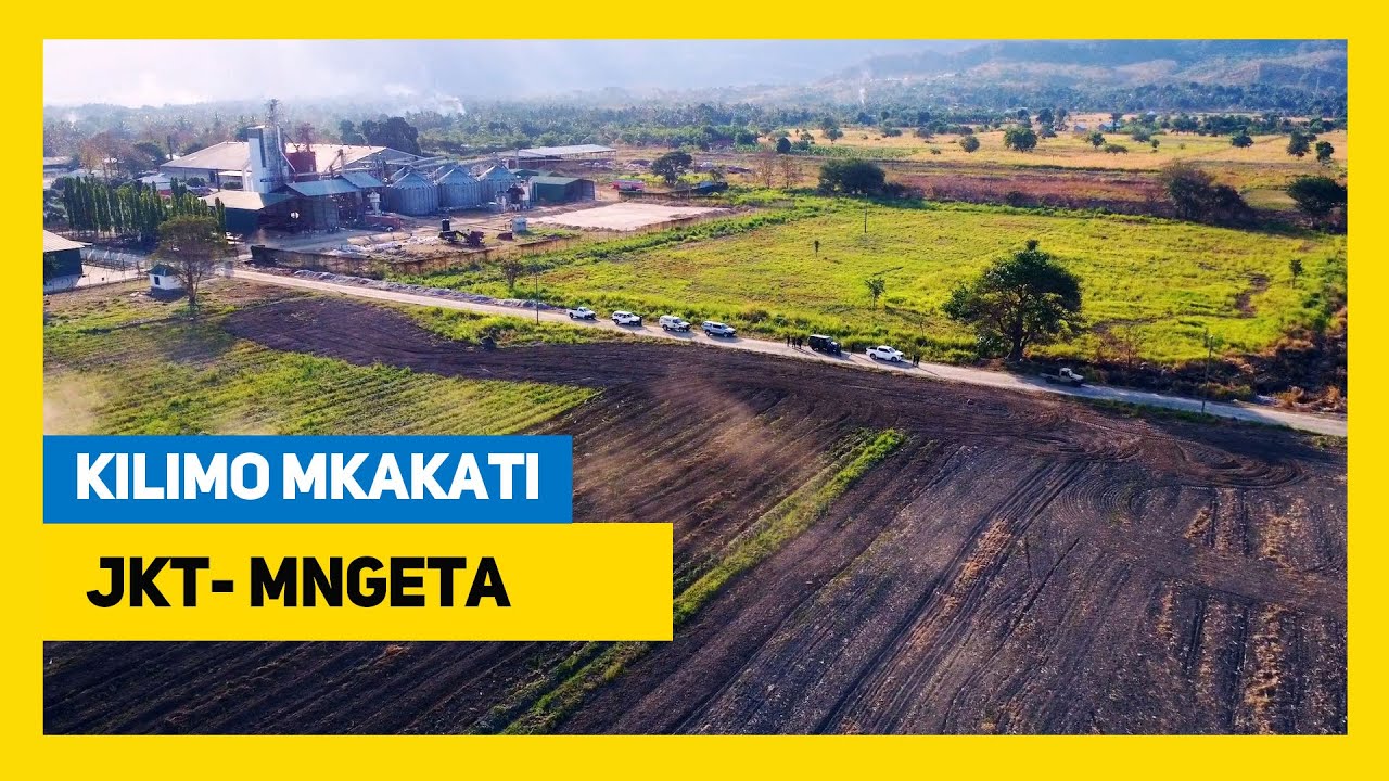 #TBC: KISHINDO CHA AWAMU YA SITA | UTEKELEZAJI WA KILIMO MKAKATI JKT-MNGETA
