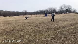 Jackdaw de Rossi - Blind Proofing 2/22/2020