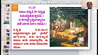 BG 18 days Tel 4 pm Ch 13