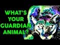 What is Your Protector Animal? Personality Test