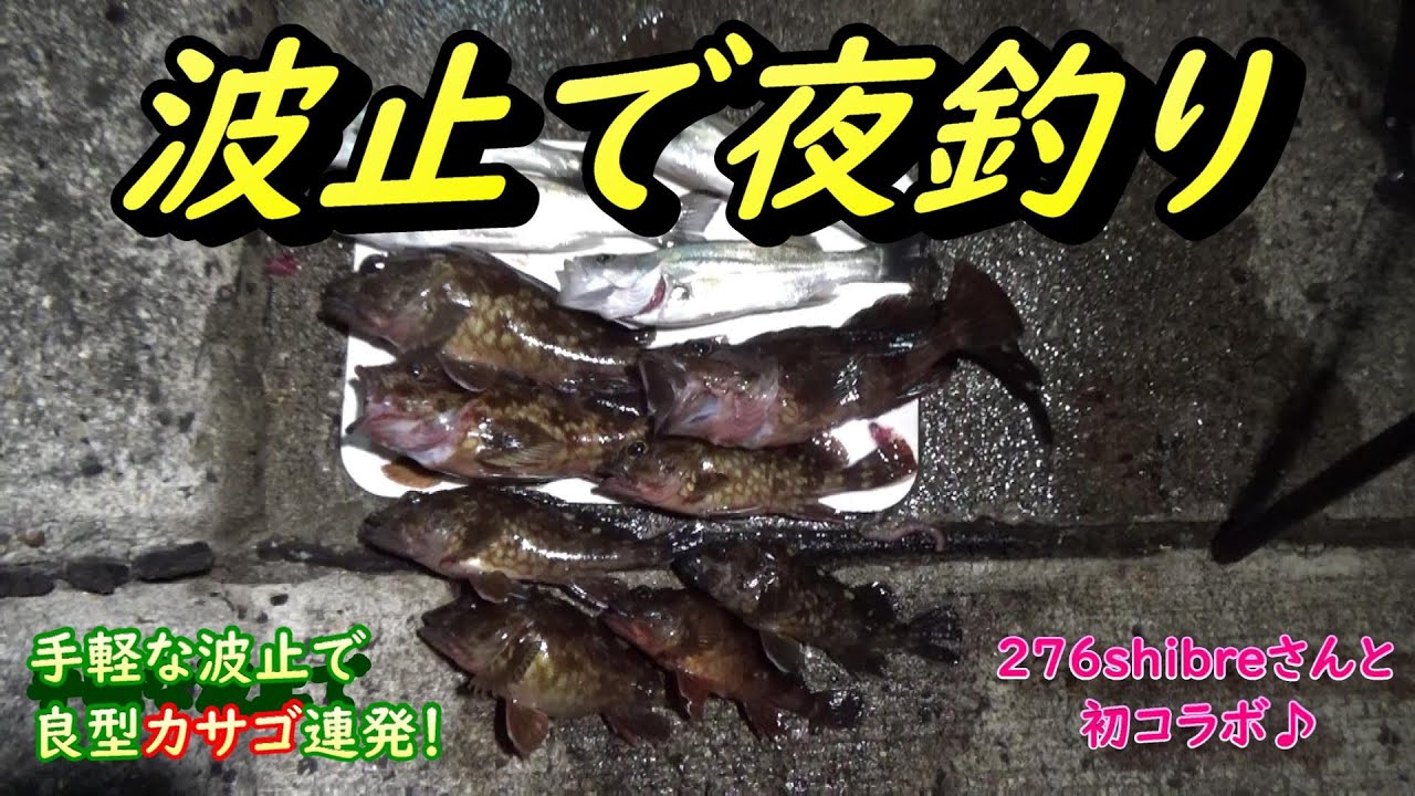 波止の夜釣りは魚がいっぱい 岡山 寄島の初波止で大漁get Youtube