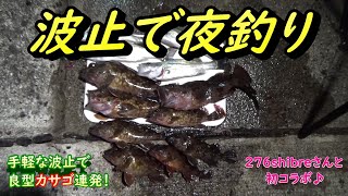 波止の夜釣りは魚がいっぱい 岡山 寄島の初波止で大漁get Youtube 波止の夜釣りは魚がいっぱい 岡山 寄島の初波止で大漁get Youtube