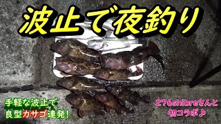 波止の夜釣りは魚がいっぱい 岡山 寄島の初波止で大漁get Youtube