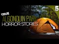 5 TRUE Algonquin Park HORROR Stories (COMPILATION)