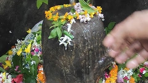 सावन के सोमवार को लाइव दर्शन Trilochan Mahadev