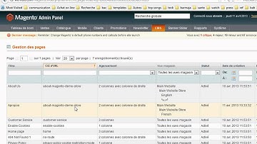 Magento - Make about us page with multiple languages