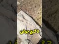 پیدا کردن جهت 3 جوغن 