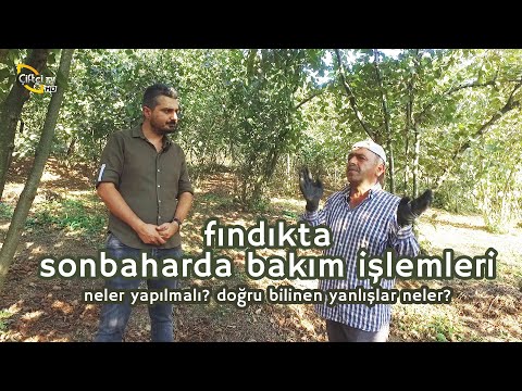 Video: Tozlayıcılar ve Hazırda Bekletme - Tozlayıcılar Karlı Sezonda Nasıl Sağ Kalır?