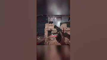 I am a True Ninja - CoD MW2