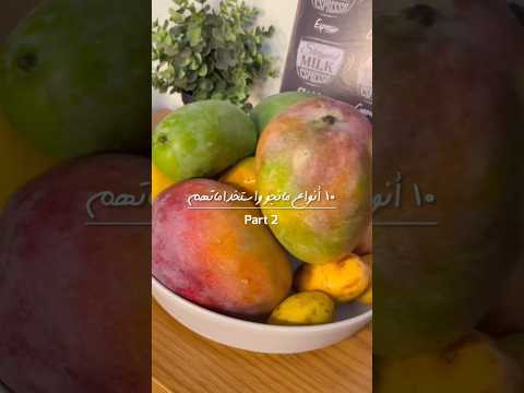 انواع المانجو وإزاي نختار الافضل للعصير والخزين   مانجا 