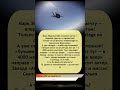 🪂 «4000 метров над Окой — и ни капли страха!»: #Эйдельштейн прыгнул с парашютом