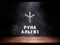 Руна Альгиз - вся информация