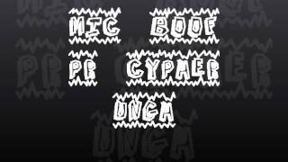 PR Cypher Rough Draft