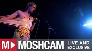 Patrick Wolf - The Vulture | Live in Sydney | Moshcam