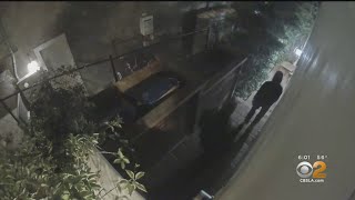 Only On CBS2: Armed Suspects Hit Holiday Party In Palisades Home