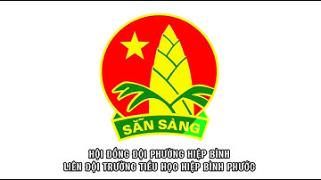 Báo cáo tổng kết công tác Đội và phong trào thiếu nhi Liên đội TH Hiệp Bình Phước NK 2024-2025
