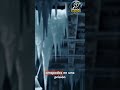 El enemigo oculto que los volvió LOCOS 🥫 #shorts