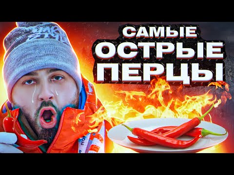 Видео: HARD PLAY ПРОБУЕТ ТОП 5 САМЫХ ОСТРЫХ ПЕРЦЕВ! 🌶ПОЛНАЯ ЖЕСТЬ!