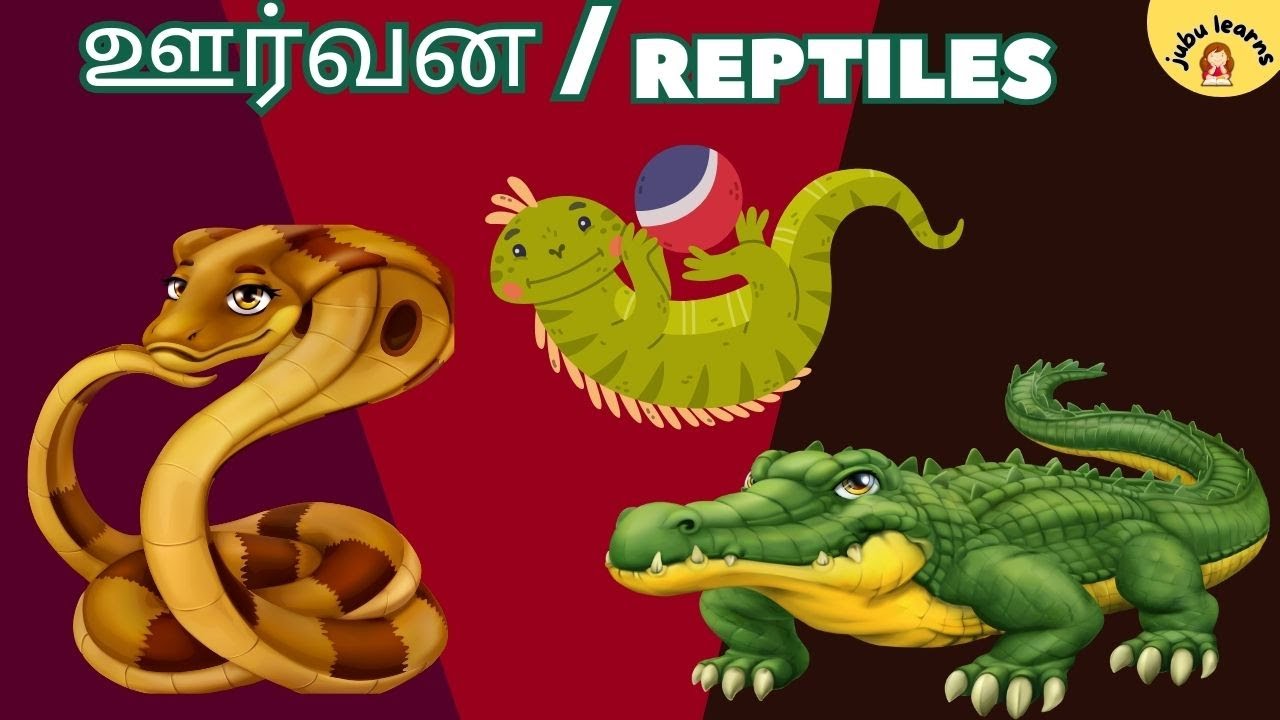 Learn Reptiles Names In Tamil And English Lkg Ukg learn-reptiles-names-in-tamil-and-english-lkg-ukg