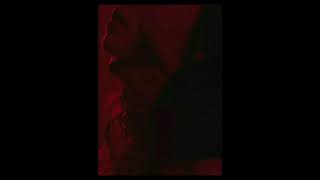 Slein - Jaranyus Audio