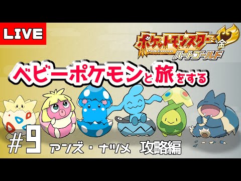 ベイビーポケモンだけで殿堂入り目指す|アンズとナツメを倒すまで寝れない耐久配信【ポケモンHGSS】#9
