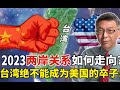 【苑举正】2023两岸关系如何走向？台大哲学教授：台湾绝不能成为美国的卒子！