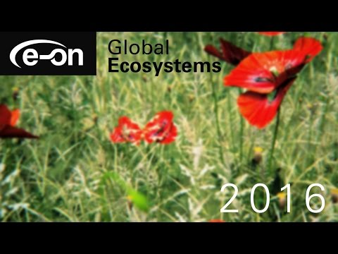 VUE 2016 - Global EcoSystems
