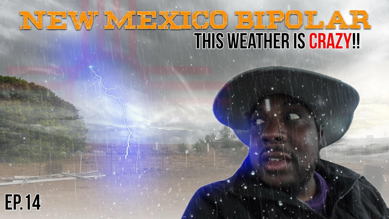 Как выжить в сумасшедшей погоде Нью-Мексико | Жизнь в пустыне без доступа к интернету